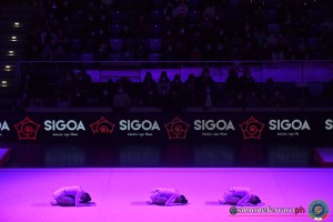 gp ginnastica foto simone ferraro sfa 1352 copia